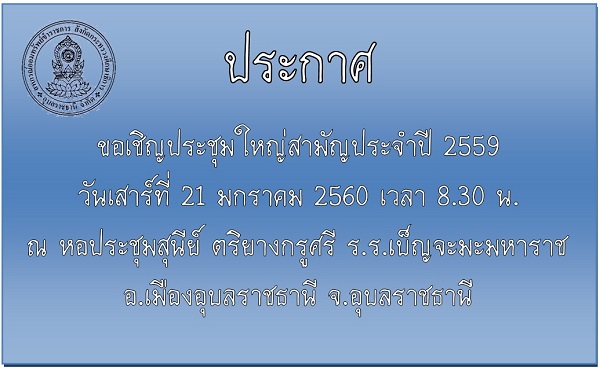 meet 2559
