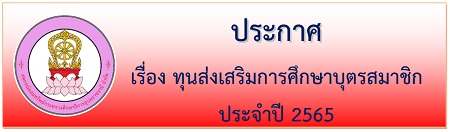 toon boot 65